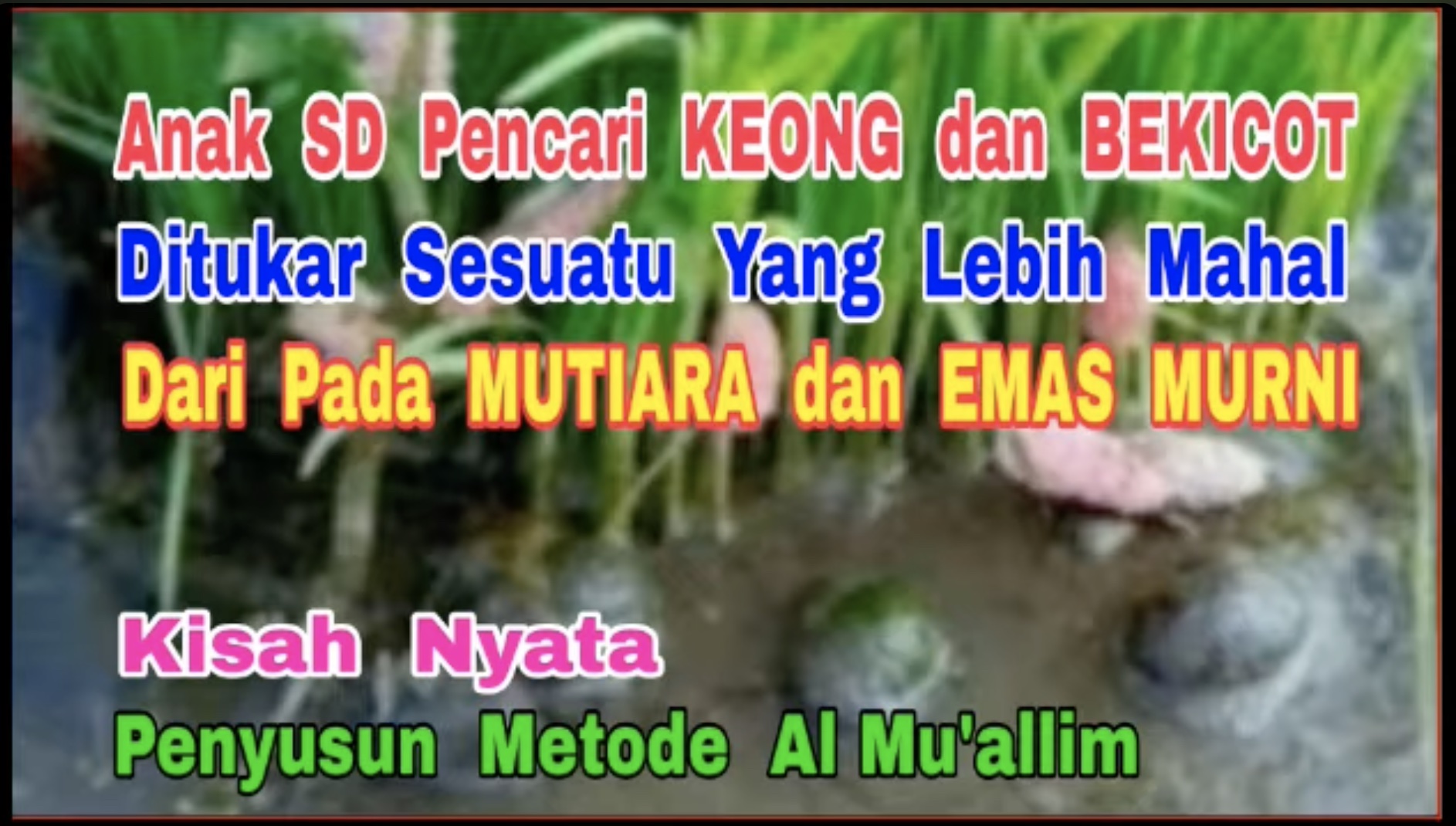 Anak SD Pencari Keong Bekicot ditukar Suatu Lebih Mahal dari Mutiara Emas